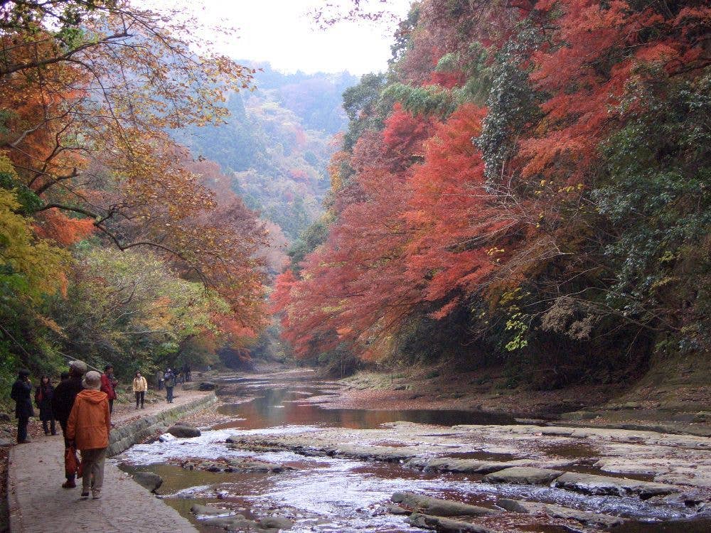 養老渓谷の紅葉