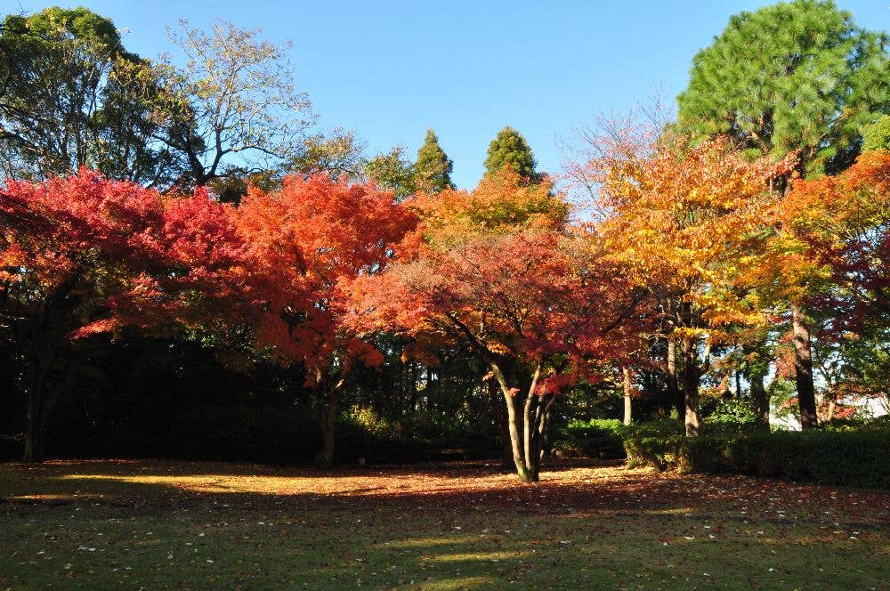 戸定が丘歴史公園