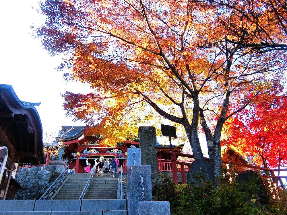 御岳山の紅葉