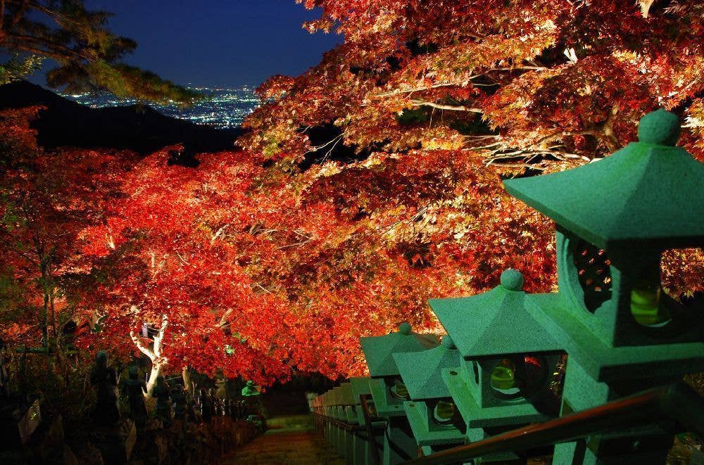 大山寺・大山阿夫利神社下社の紅葉