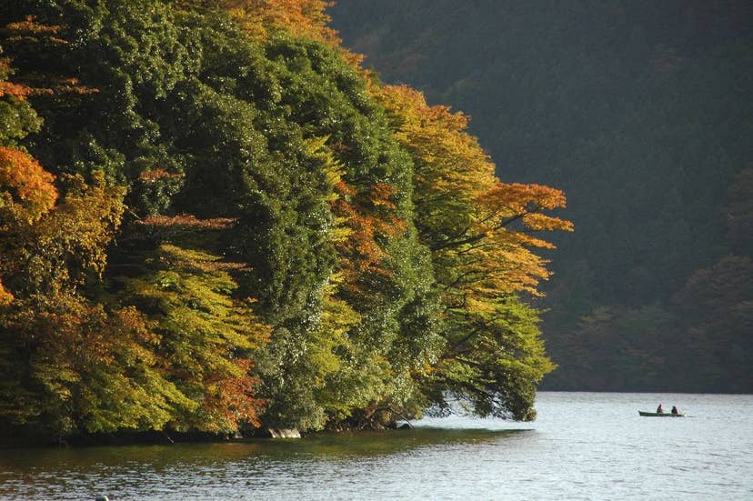 箱根（芦ノ湖）の紅葉