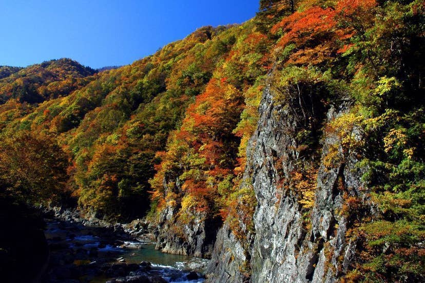 中津川渓谷（秋山郷）の紅葉