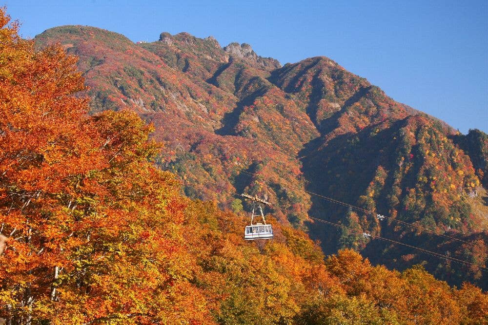 八海山ロープウェーの紅葉