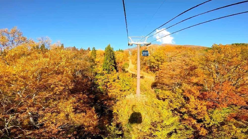 赤倉山南麓湿原の紅葉