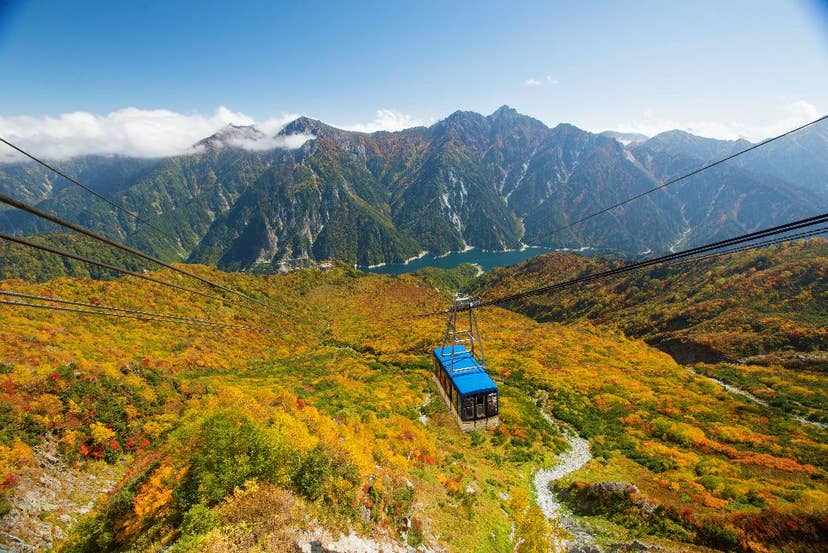 立山（大観峰周辺：標高2,300m付近）の紅葉