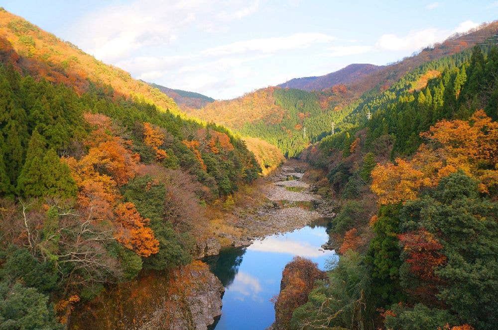 神通峡の紅葉