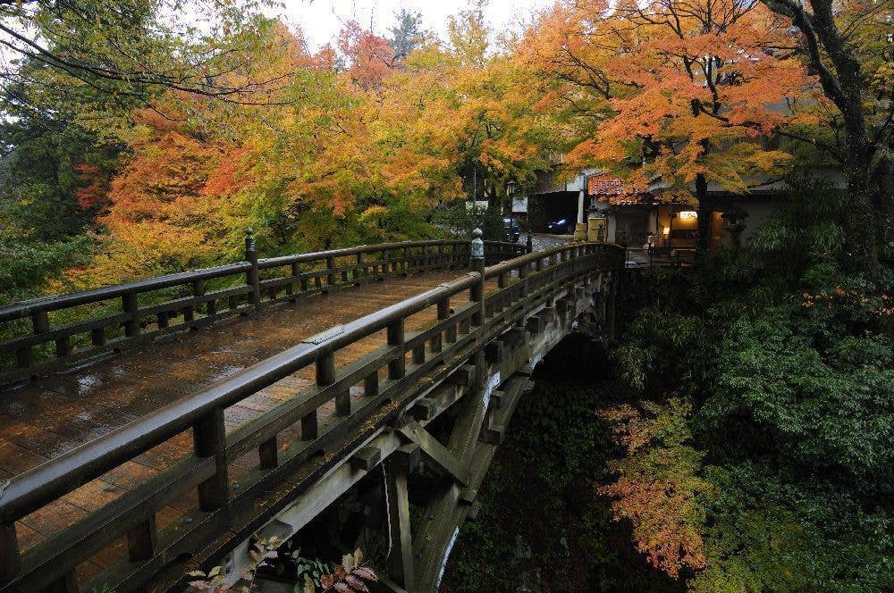 鶴仙渓の紅葉