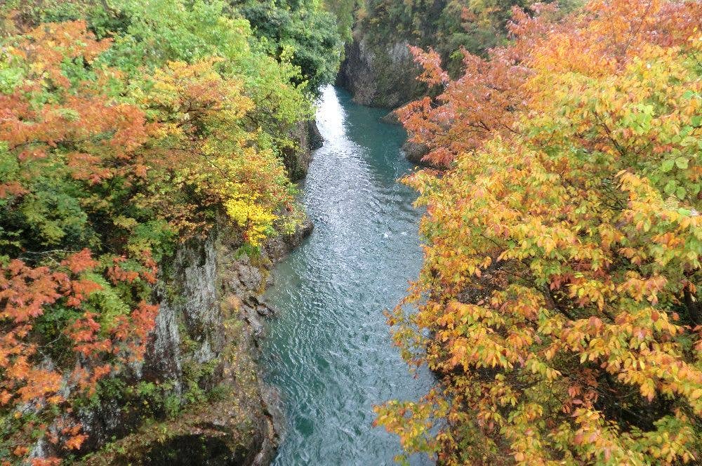 手取峡谷の紅葉