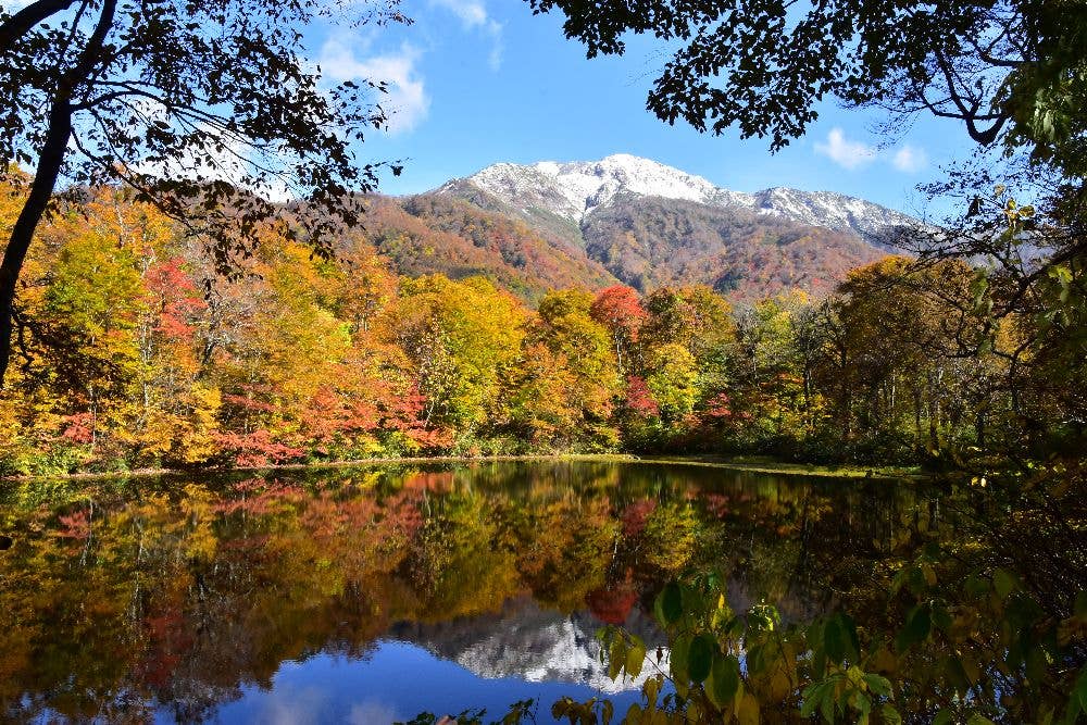 刈込池の紅葉