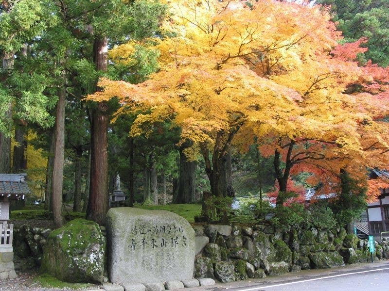 曹洞宗大本山永平寺