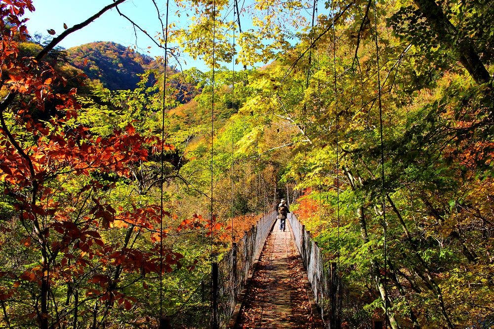 西沢渓谷の紅葉