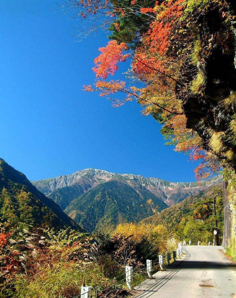 白鳳渓谷の紅葉