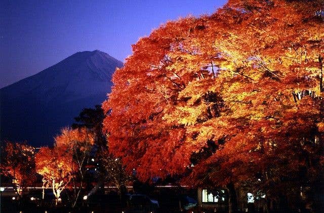 河口湖の紅葉