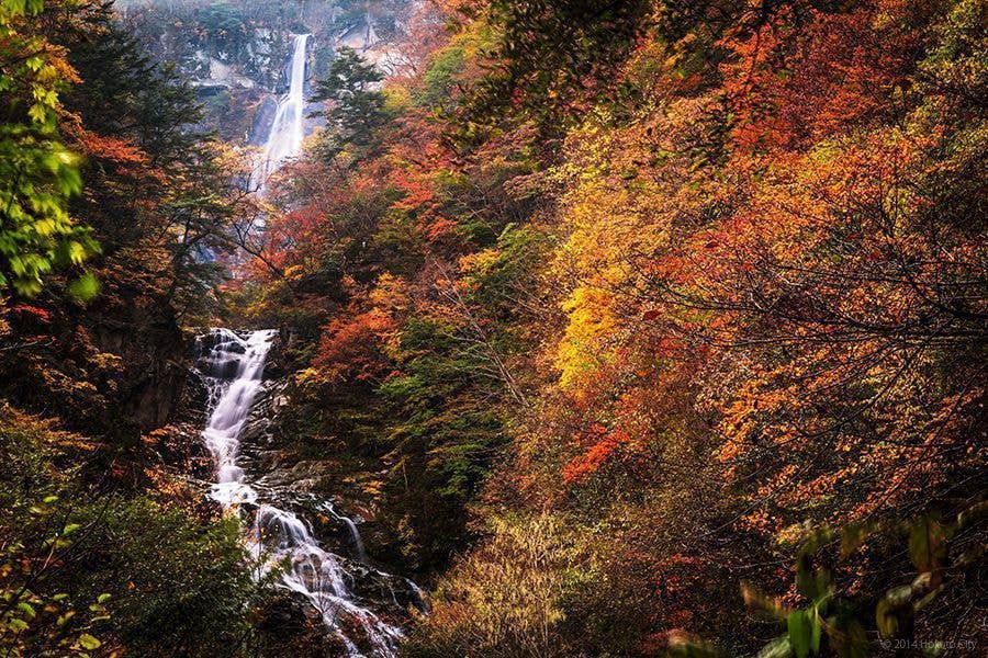 石空川渓谷の紅葉