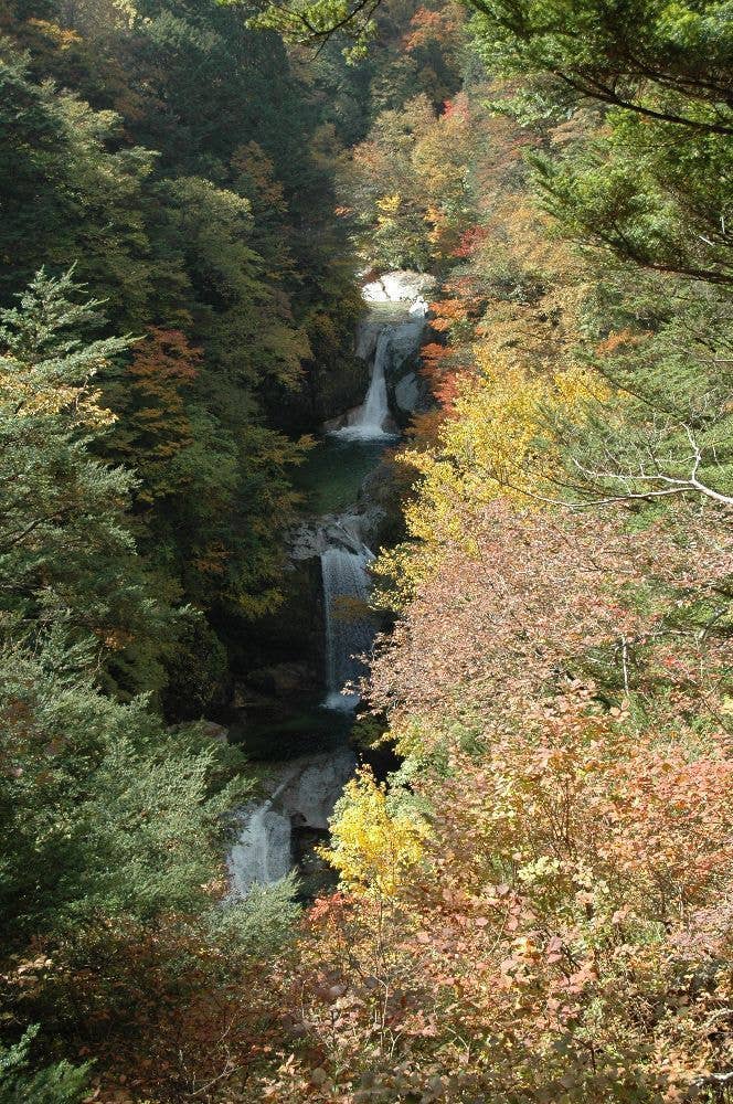 尾白川渓谷の紅葉