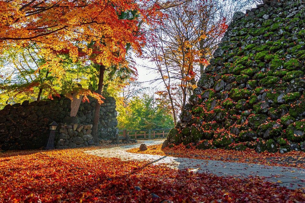 小諸城址　懐古園の紅葉