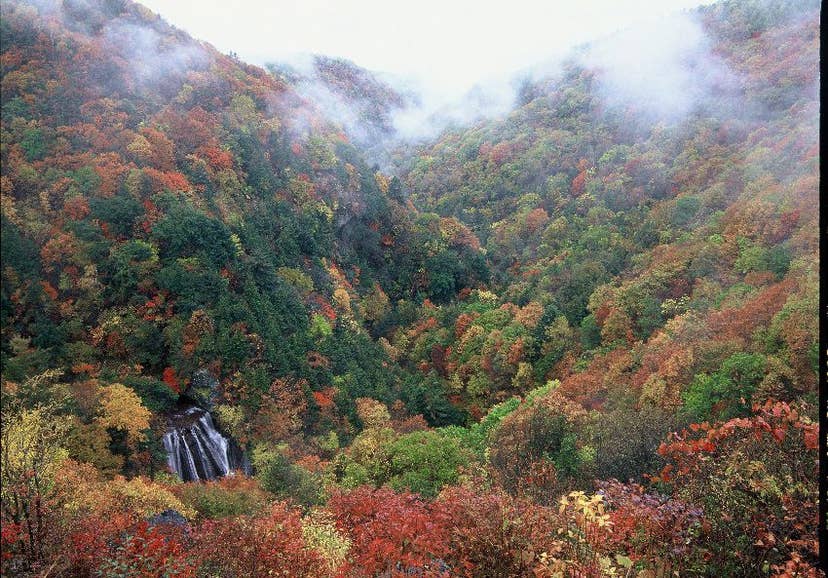 横谷峡の紅葉