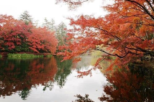 軽井沢（雲場池）の紅葉