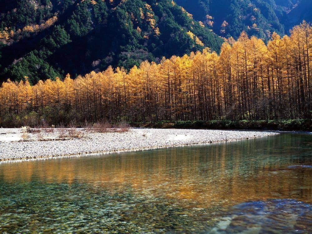 上高地（大正池、河童橋周辺）の紅葉