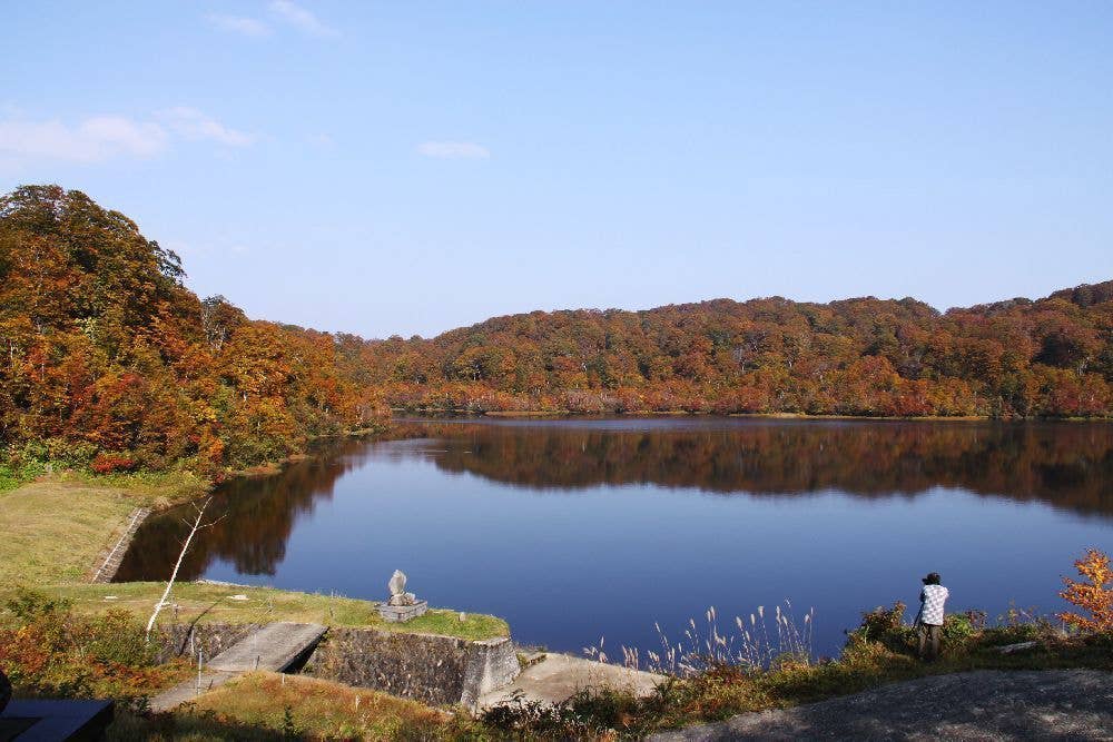 野々海高原の紅葉