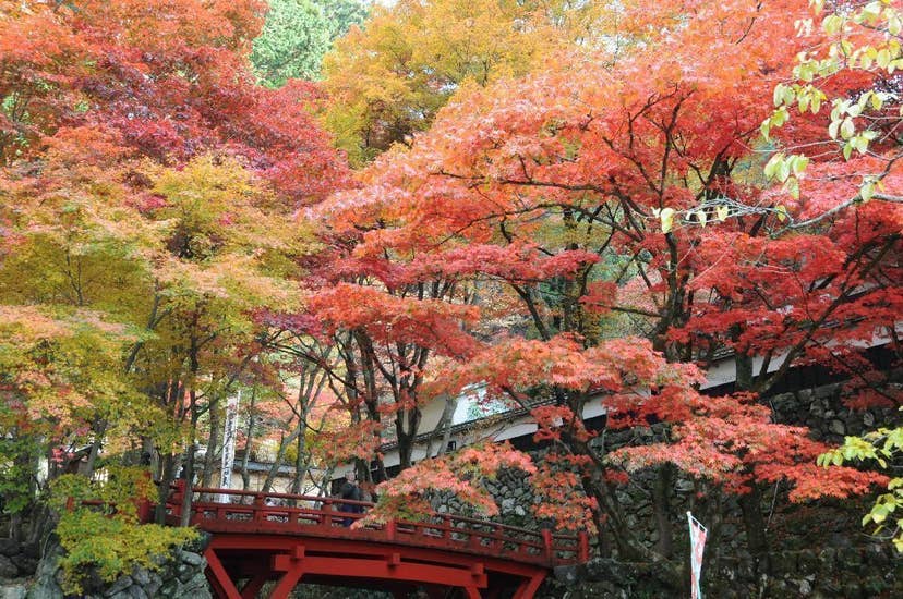 両界山横蔵寺の紅葉