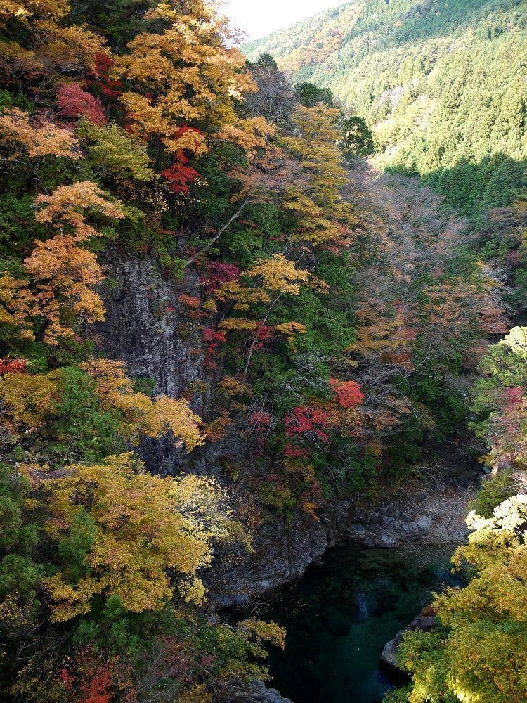 付知峡の紅葉