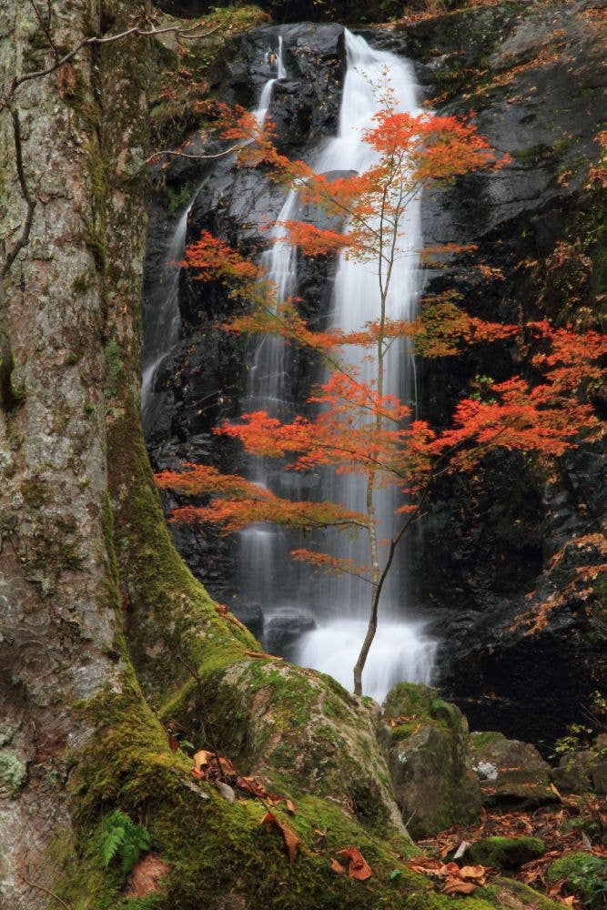 県立自然公園　宇津江四十八滝の紅葉