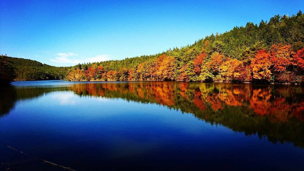 根の上高原の紅葉