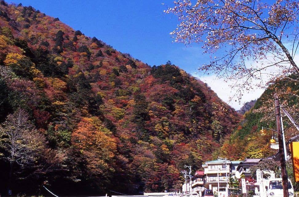 梅ヶ島温泉の紅葉