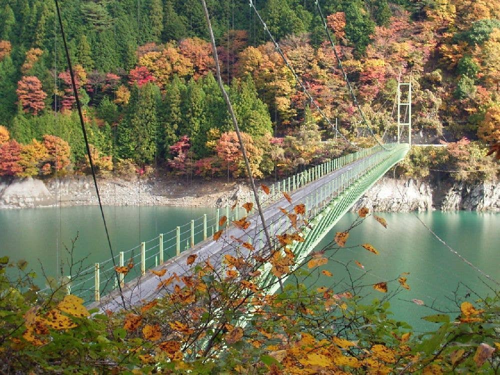井川湖の紅葉
