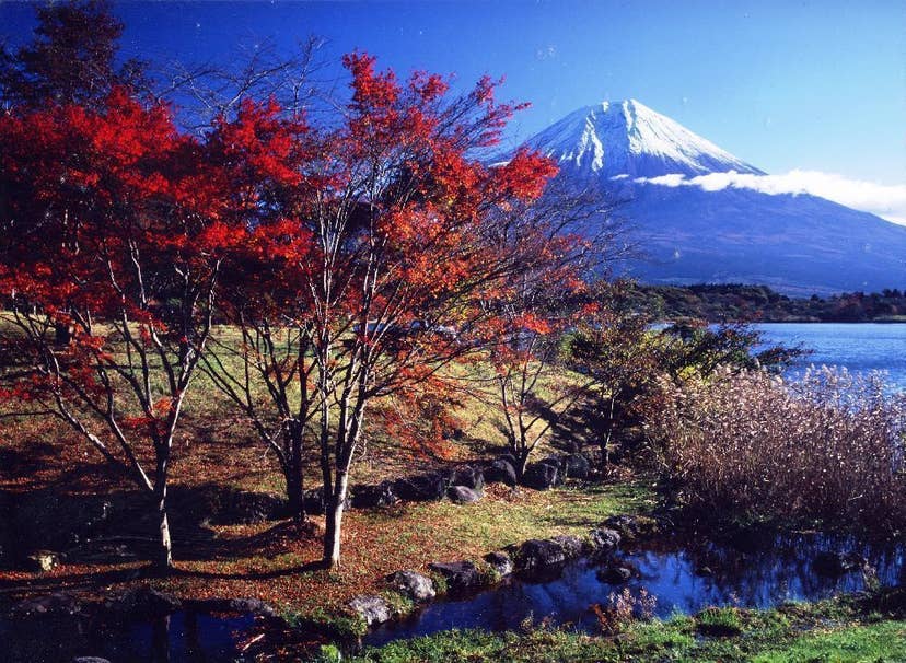田貫湖周辺の紅葉