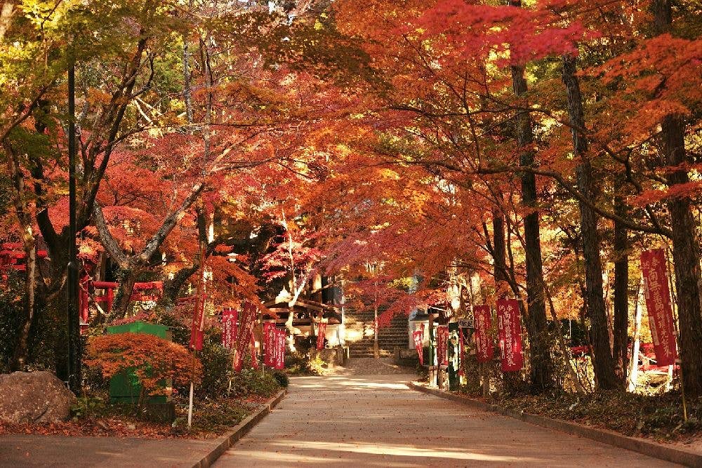 医王山油山寺の紅葉