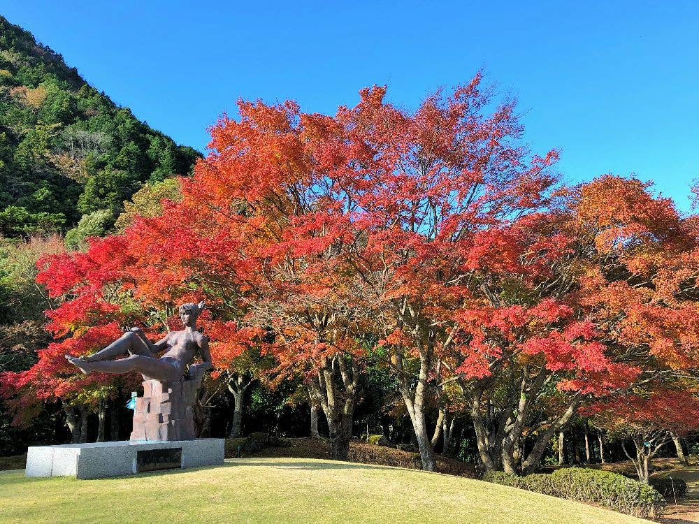 天城（昭和の森会館）