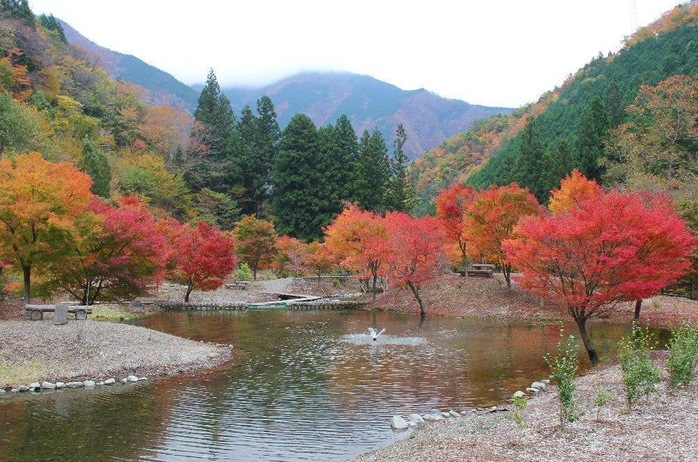 寸又峡の紅葉