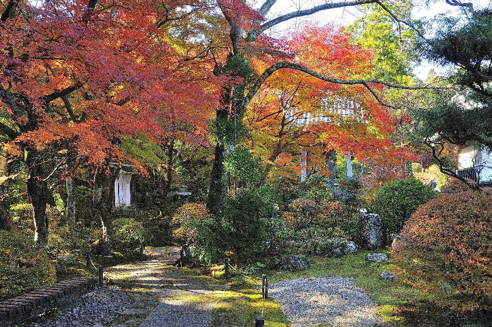 龍潭寺の紅葉