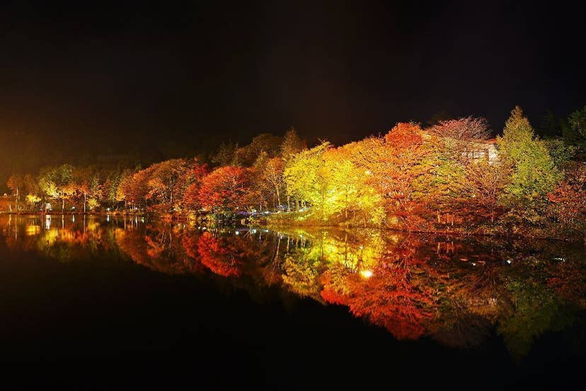 天竜奥三河国定公園（茶臼山）の紅葉
