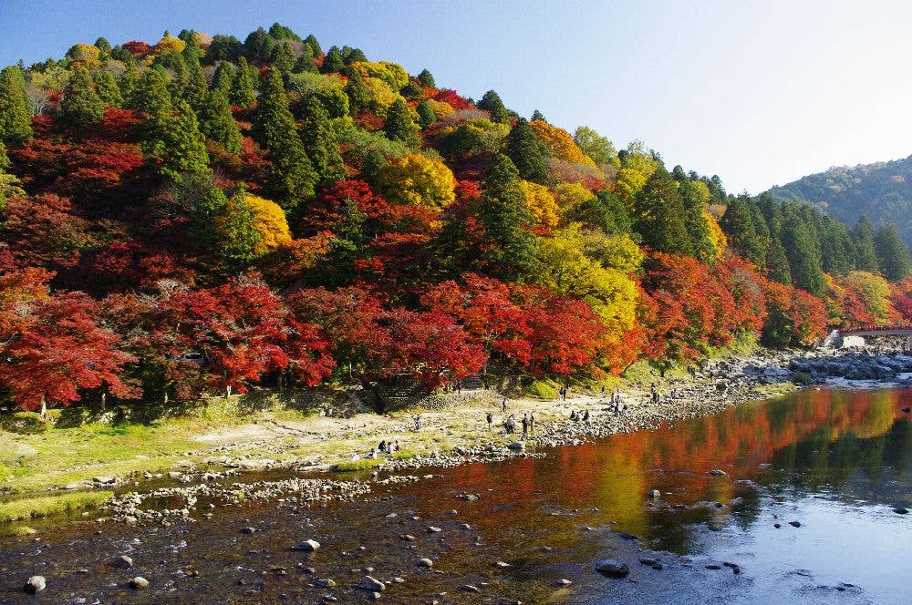 香嵐渓の紅葉