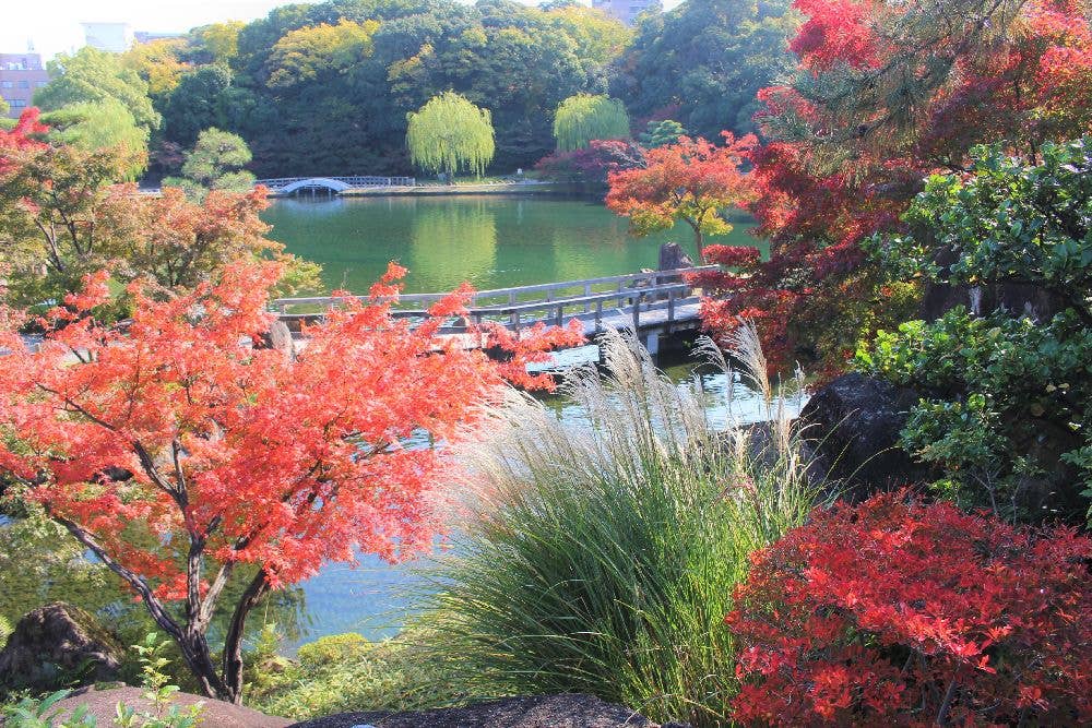 徳川園の紅葉