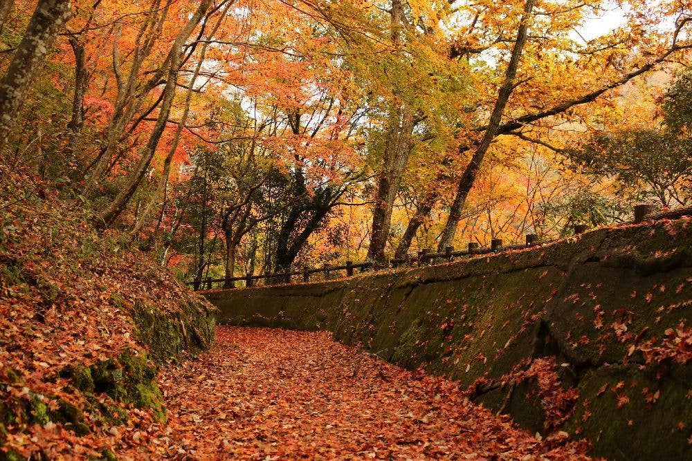 岩倉峡公園の紅葉