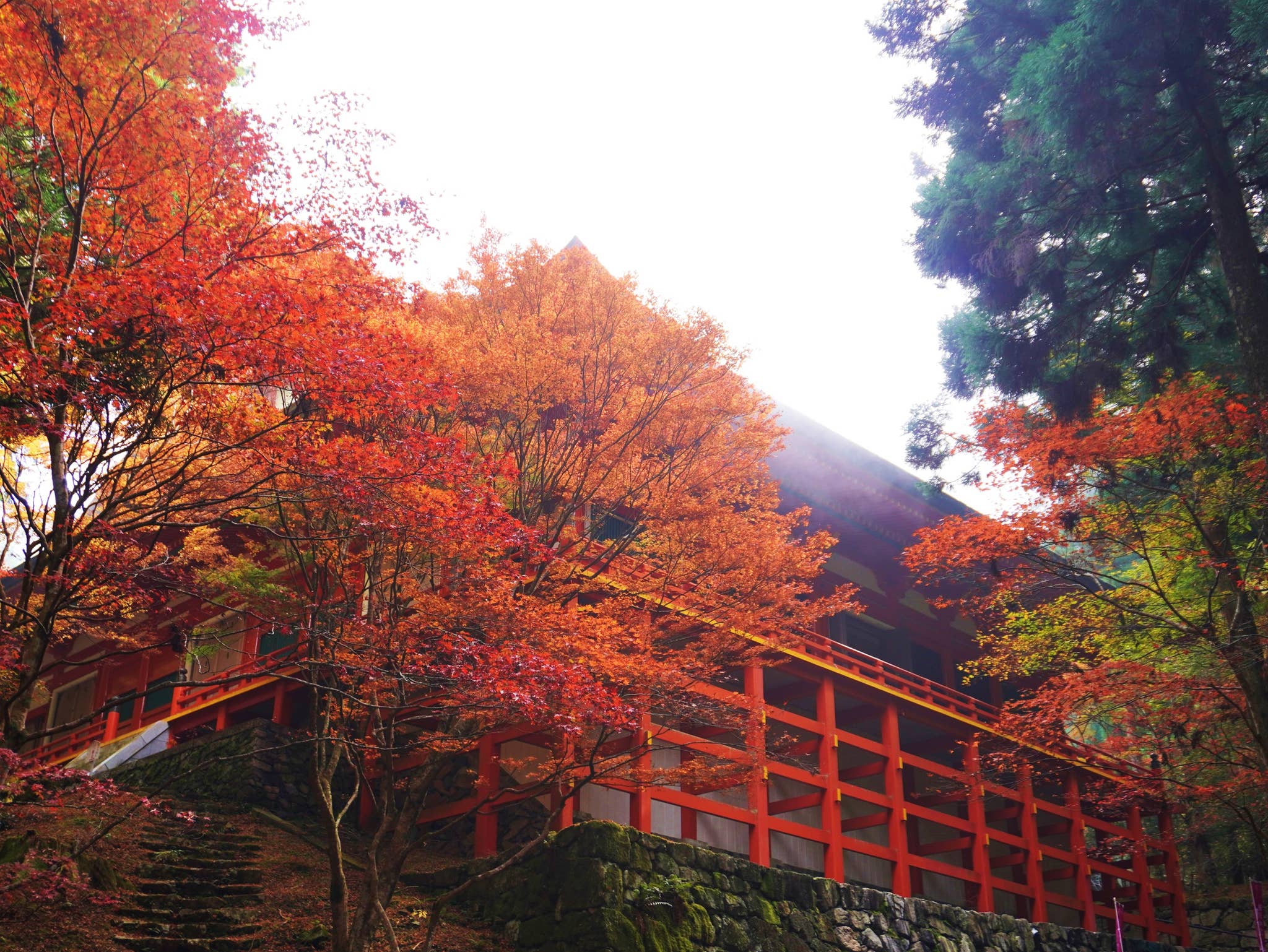 比叡山の紅葉