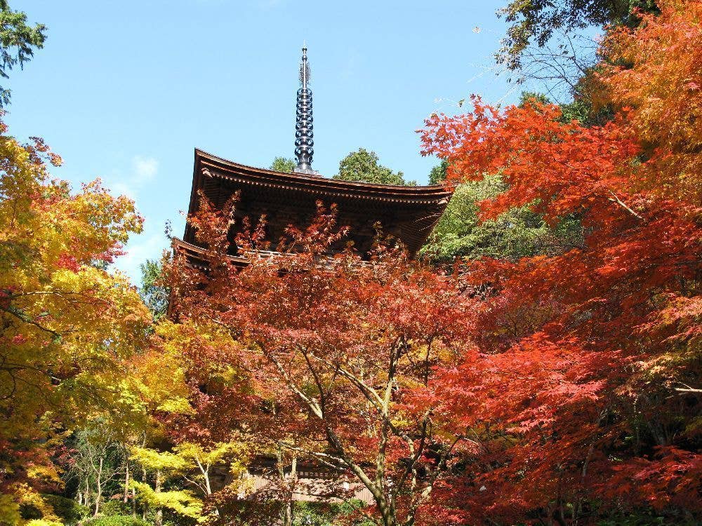 湖東三山　金剛輪寺の紅葉