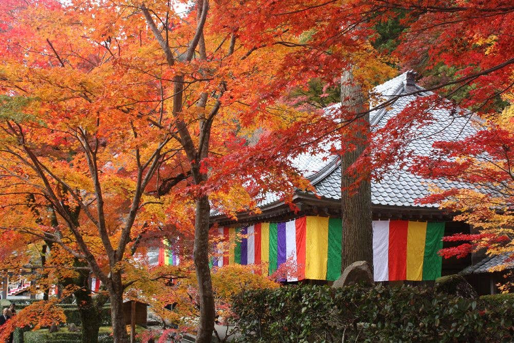 大本山　永源寺の紅葉