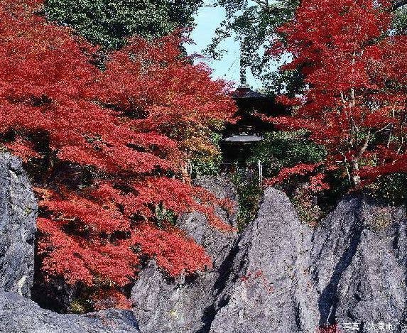 石山寺の紅葉