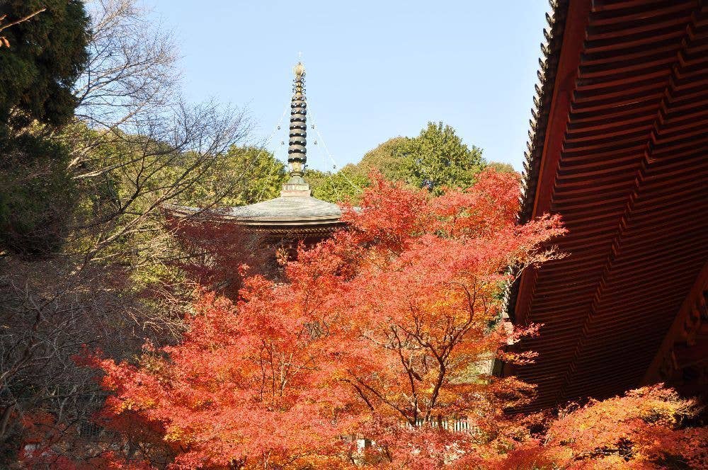 高雄（神護寺）