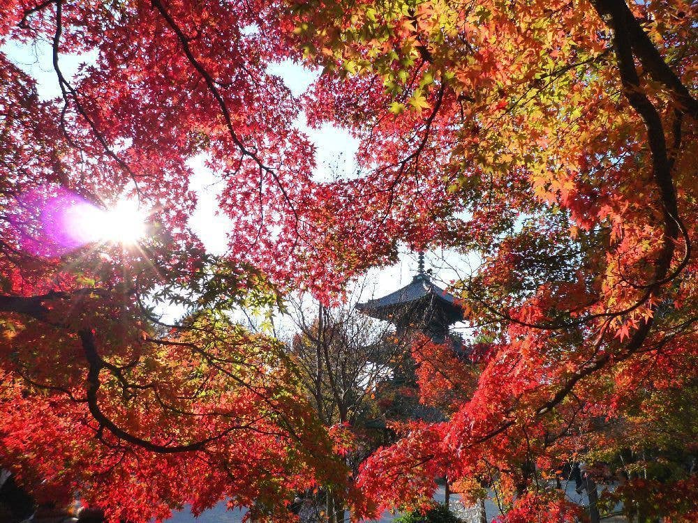 真如堂（真正極楽寺）