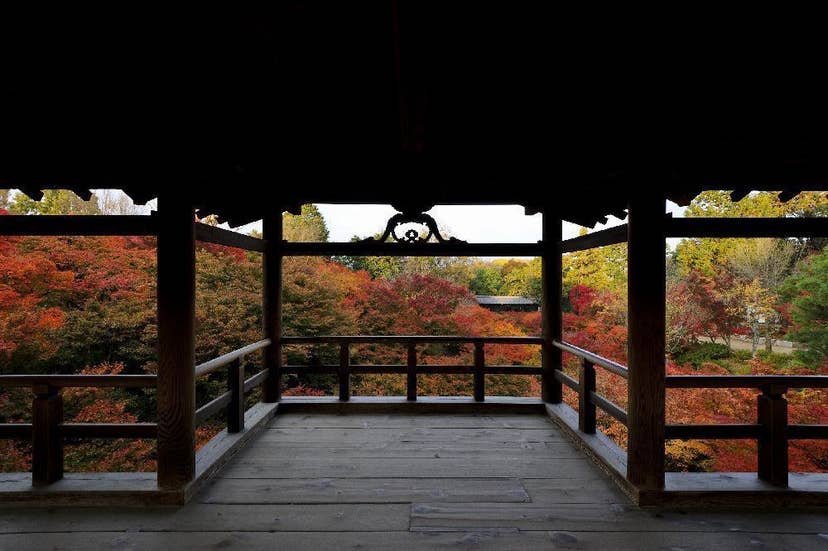 大本山　東福寺の紅葉