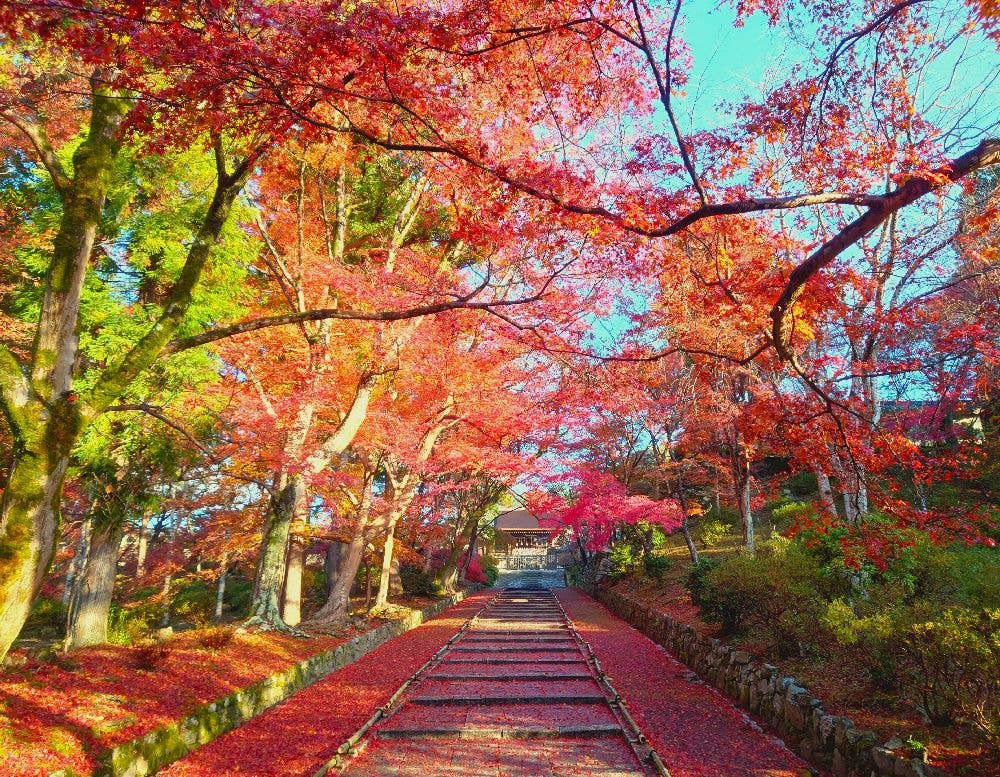 京都　山科・毘沙門堂