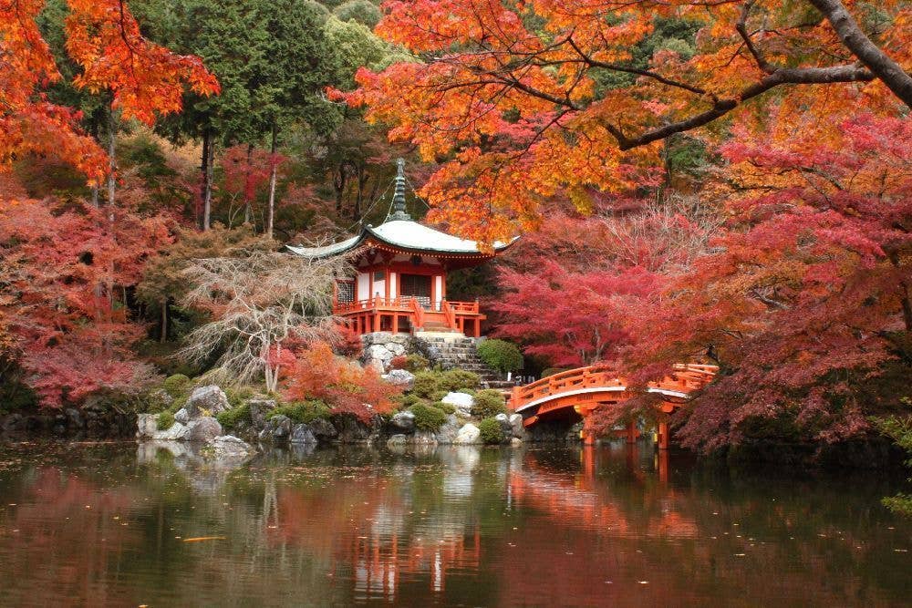 醍醐寺の紅葉