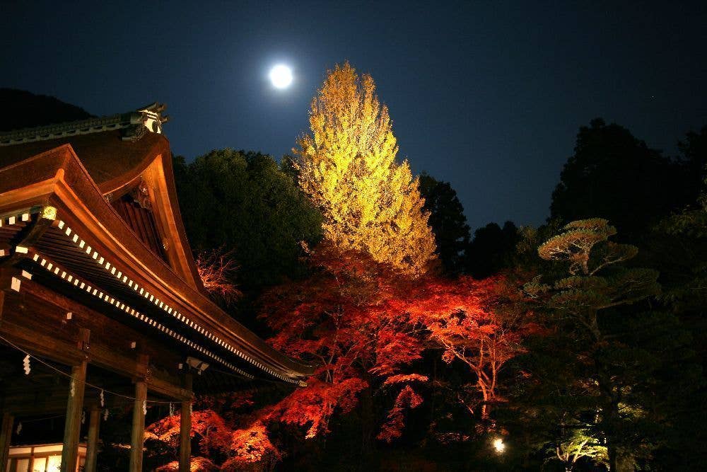 出雲大神宮の紅葉