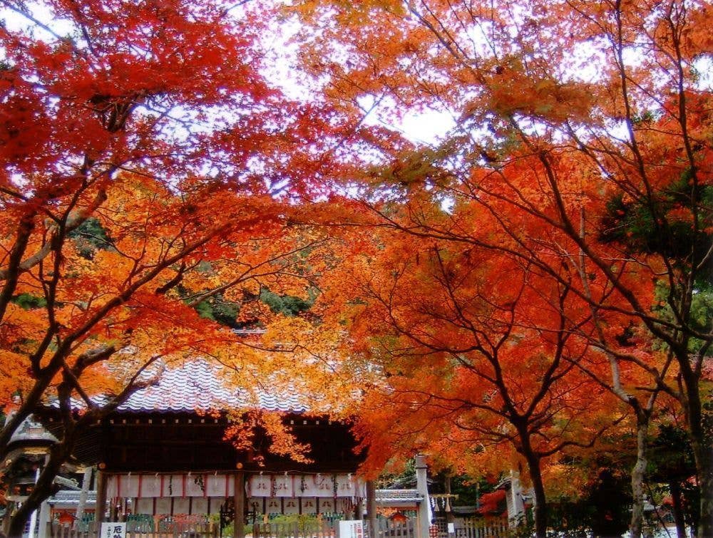 鍬山神社